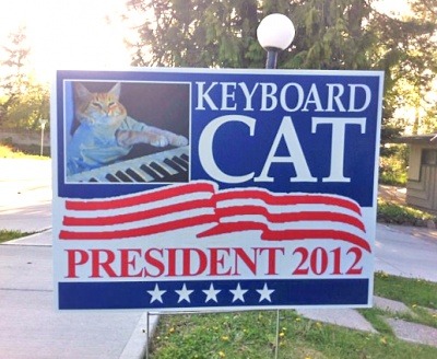 keyboard-cat