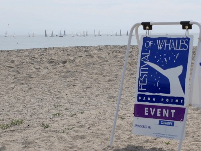 Dana-Point-Festival-of-Whales-Aluminum-A-frame-Sign