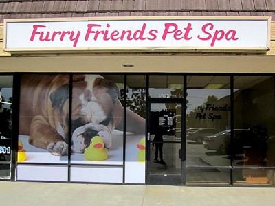 Furry-Friends-Window-Graphics